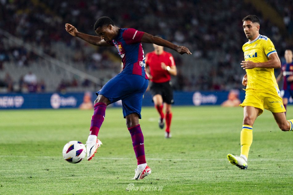 性与杀伤力 性与杀伤力